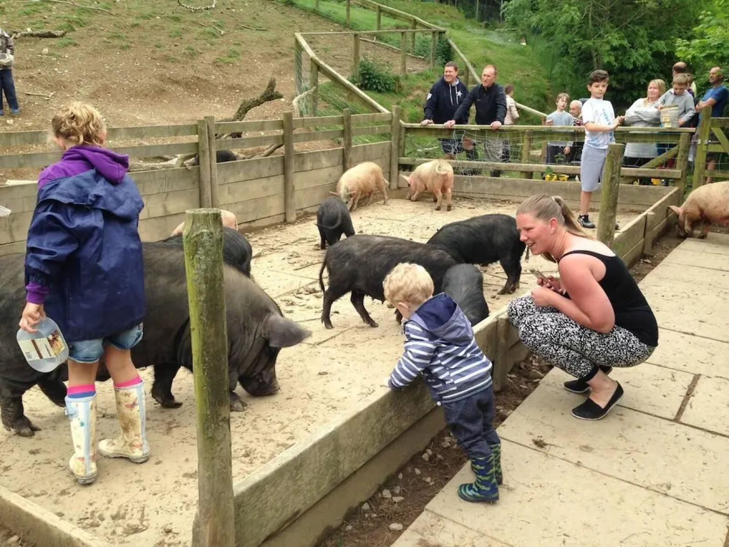 Relax in Sunset View Cottage on Cwmiar Farm