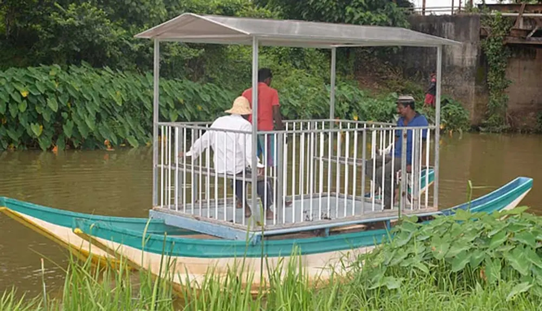 White Peacocks and Birds Resort