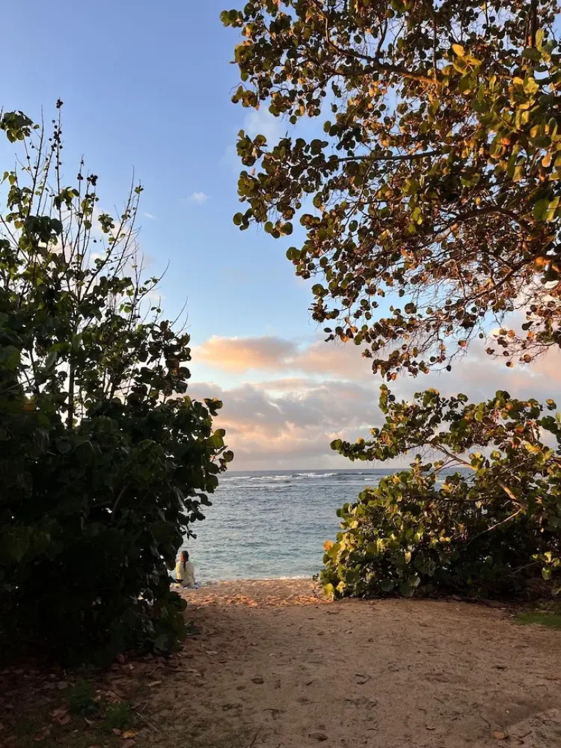 Akule Clubhouse: Bala One Bedroom Beach Retreat w/Sauna! 1 Condo by RedAwning