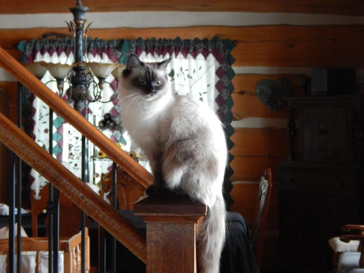 MoonStone Bed and Breakfast