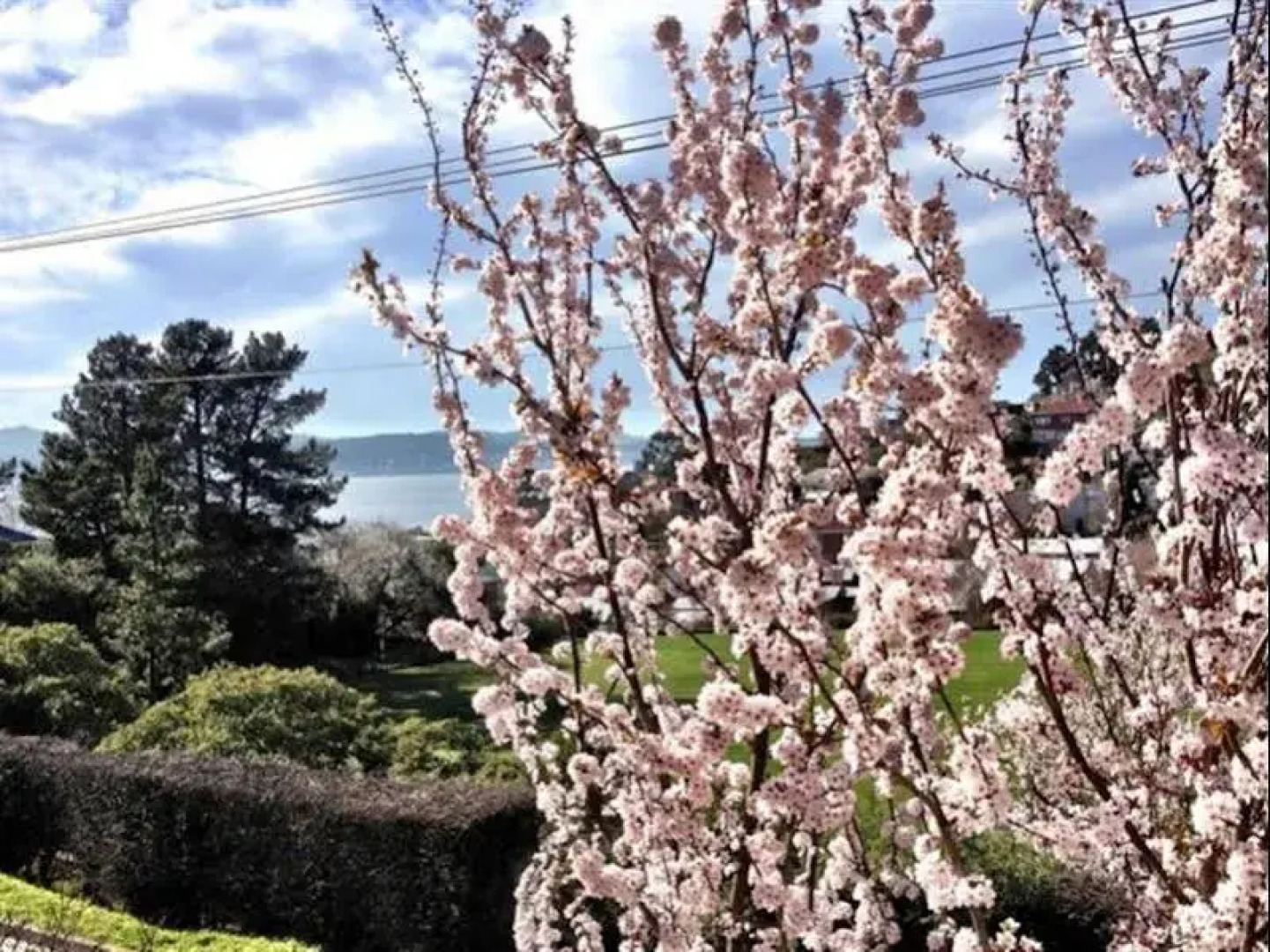 Mellowtrees Accommodation