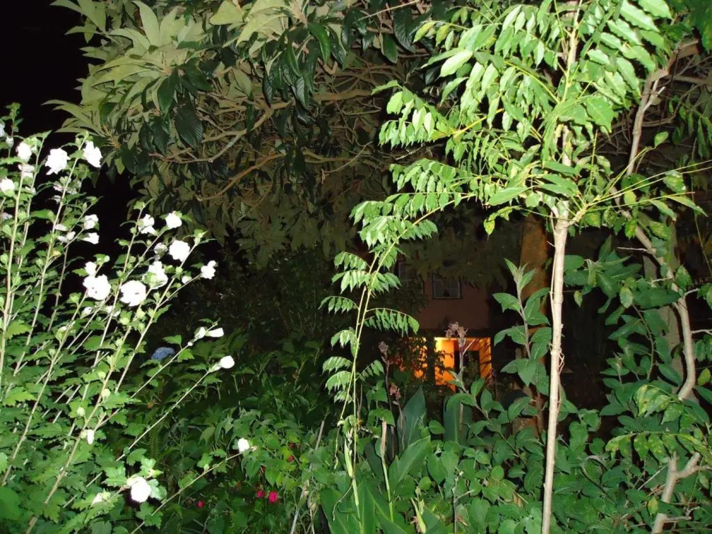 Quinta do Vale do Monte