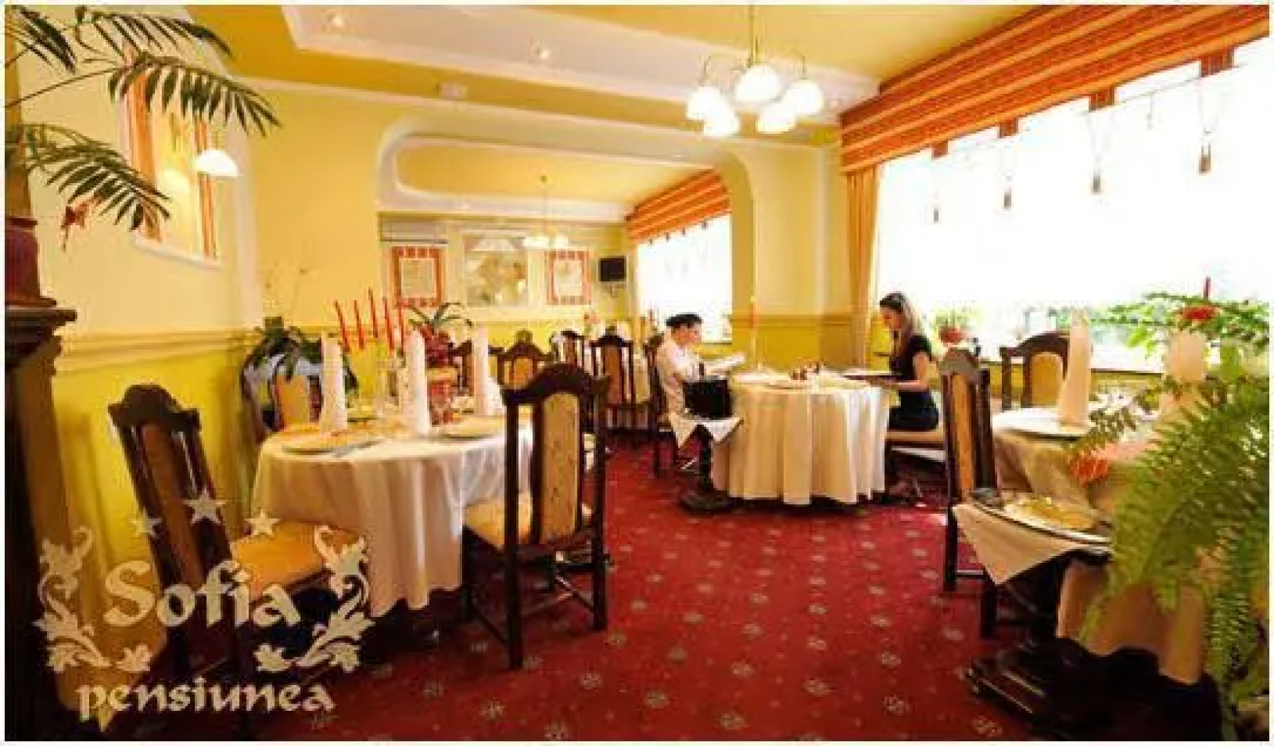 Pensiunea Sofia