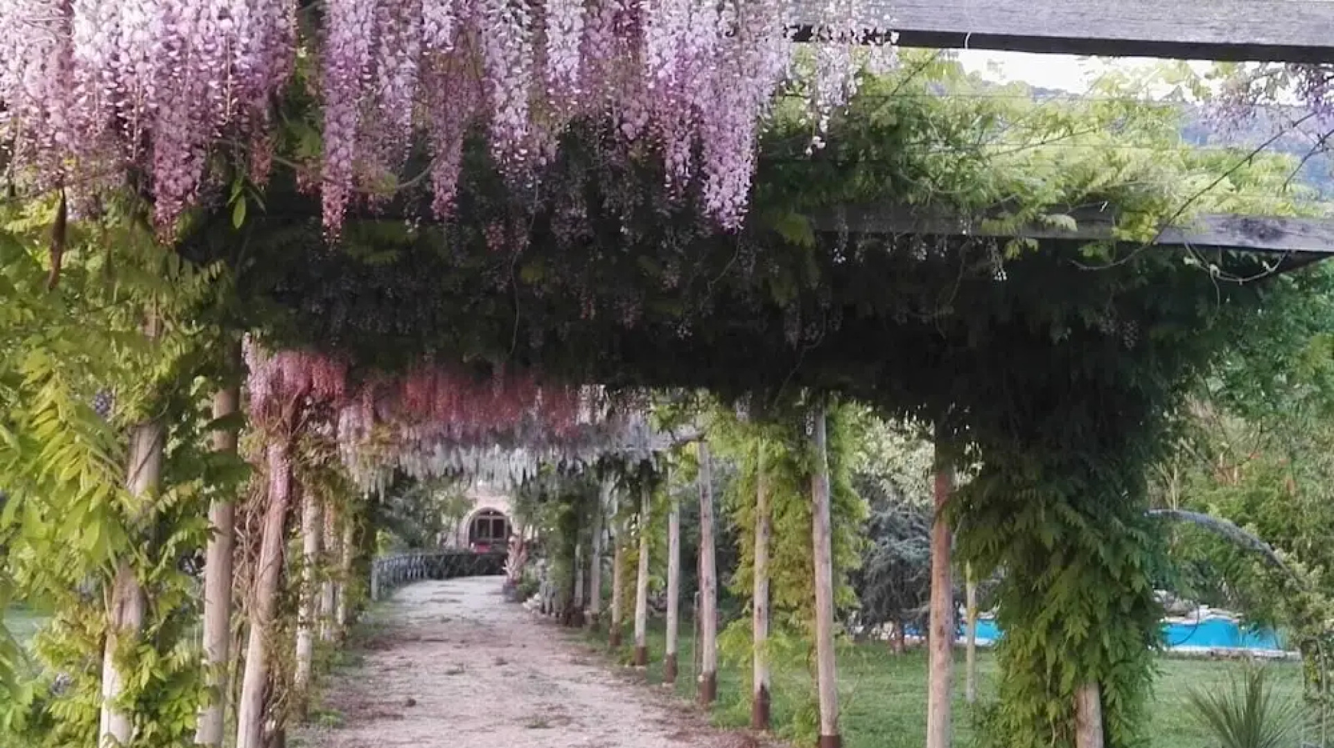 Tenuta Le Pantanelle