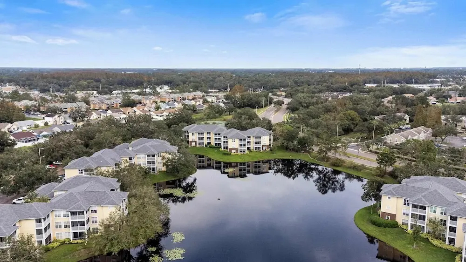 The Urban Oasis Serene Views!