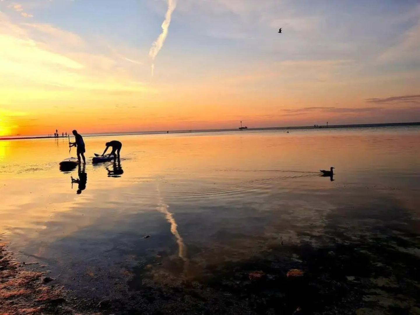 St Mildreds Bay Annex Retreat With Direct Sea Views