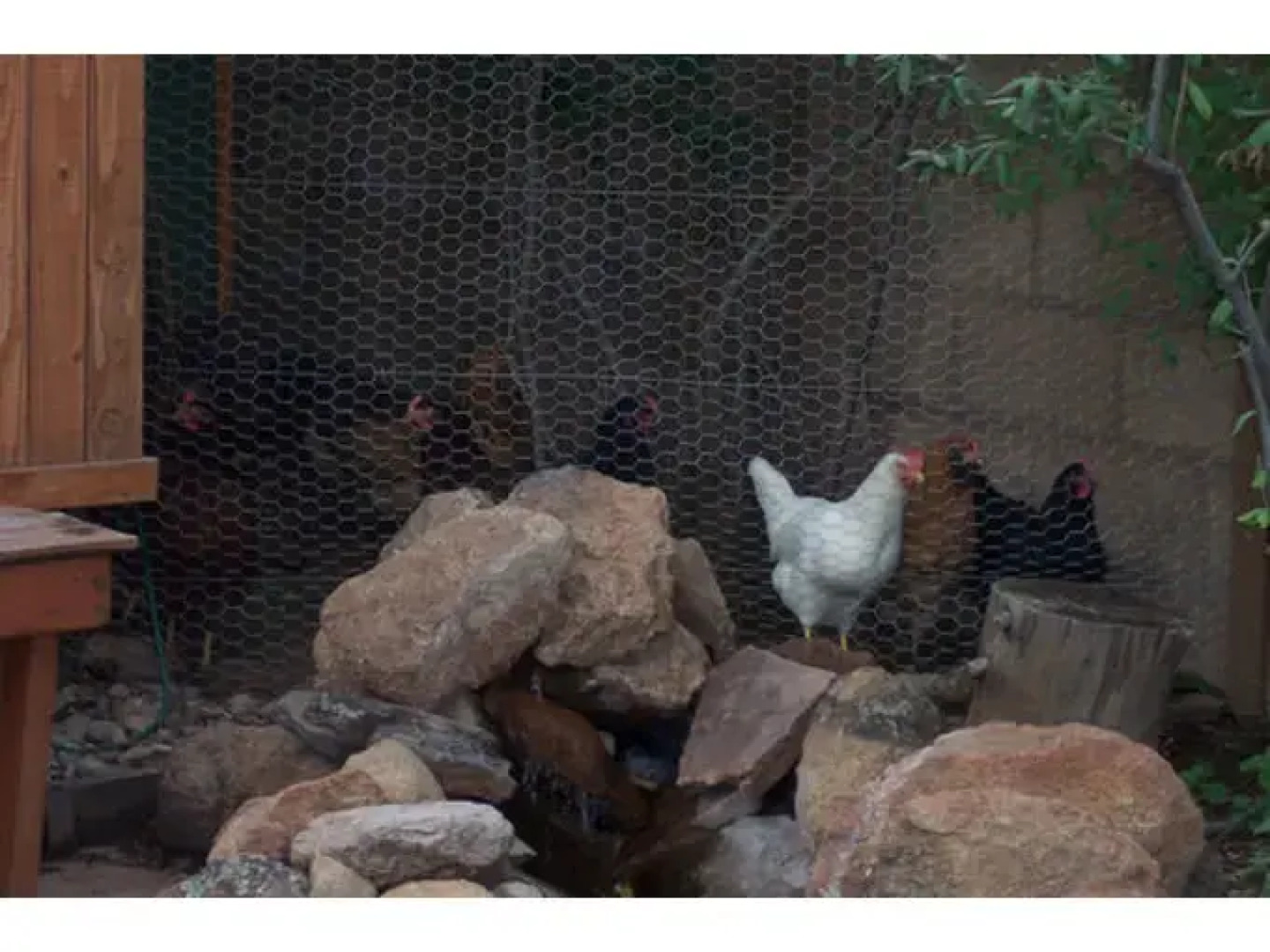 Elden Trails Bed and Breakfast