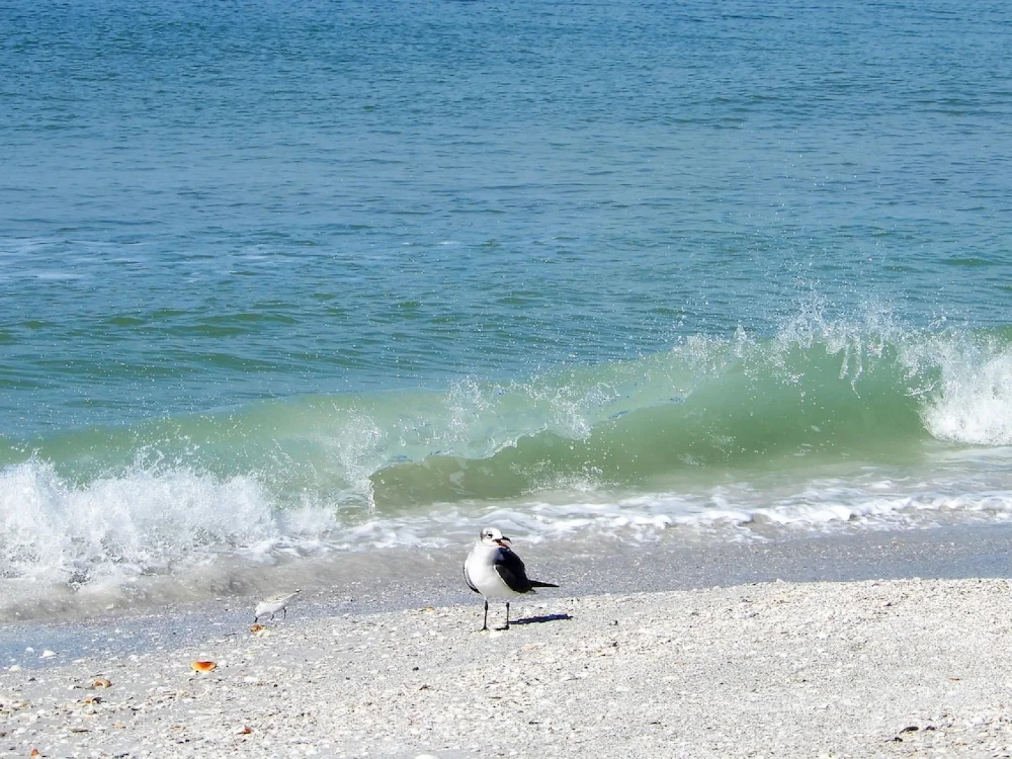 Pass-A-Grille Intercoastal Views 102-4 by TechTravel