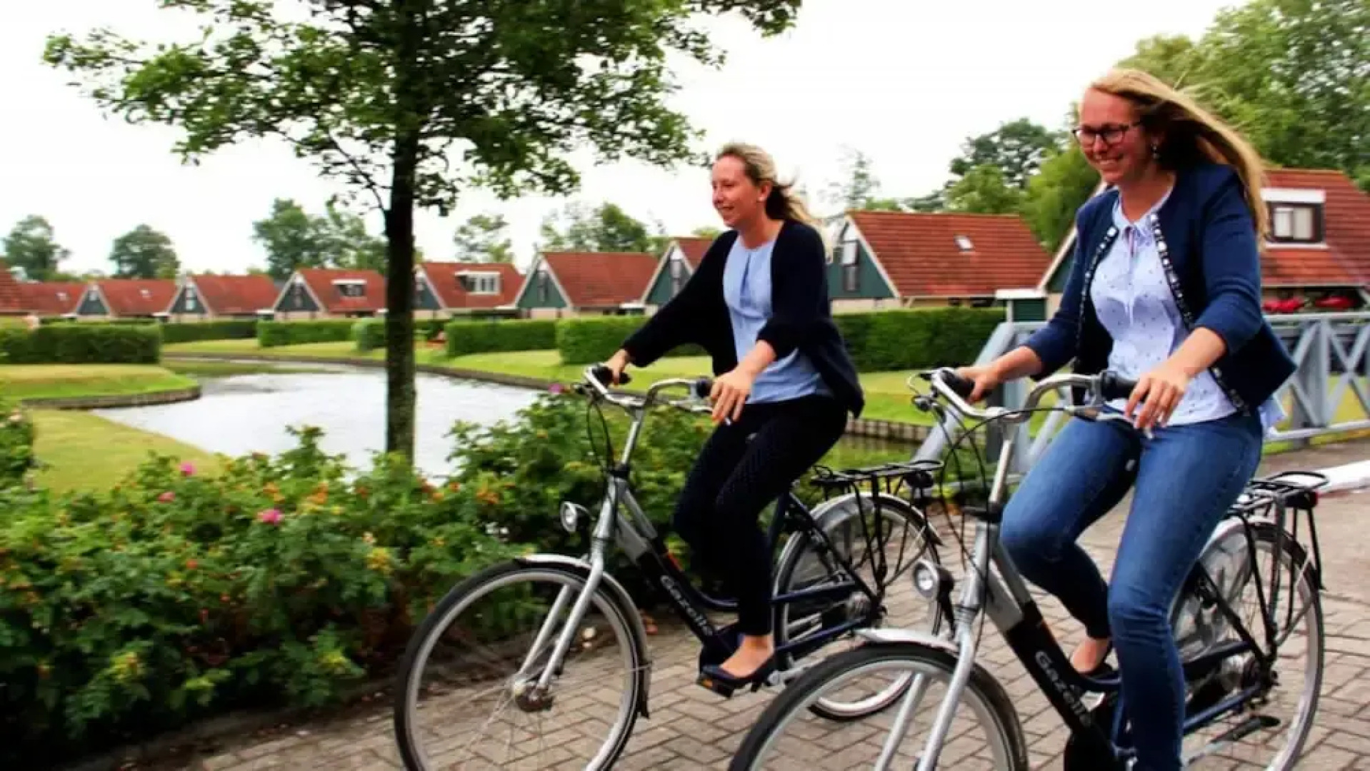 HVZ Crocus 4p in Heinkenszand