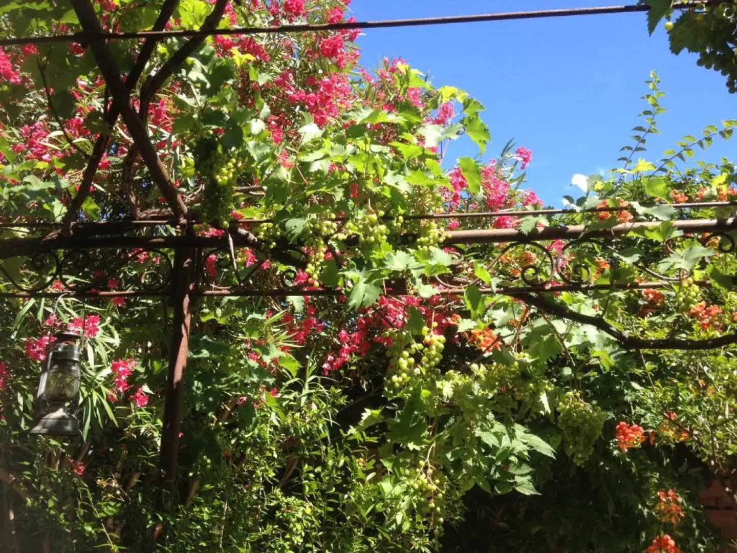 La Demeure du Pressoir