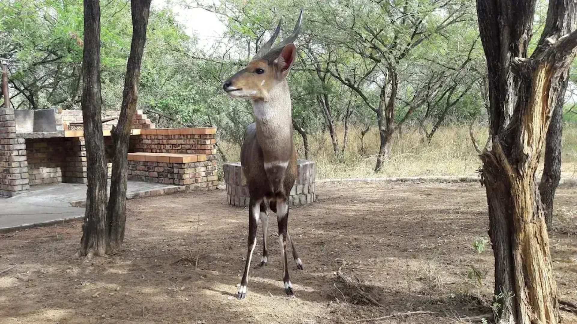 Umvangazi Rest - Enjoy a Relaxing, Rejuvenating and Peaceful Setting in the Bush