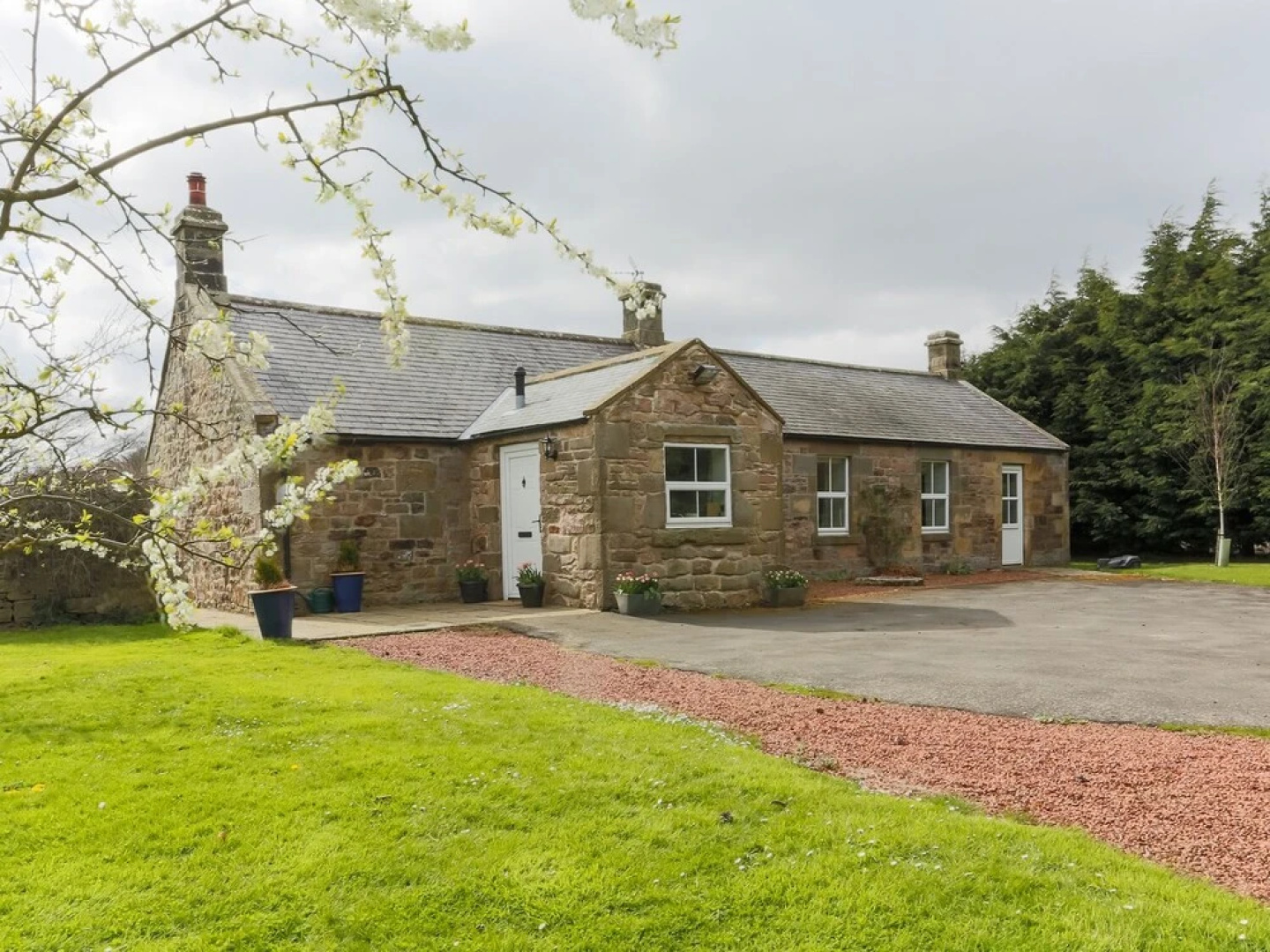 The Reading Rooms