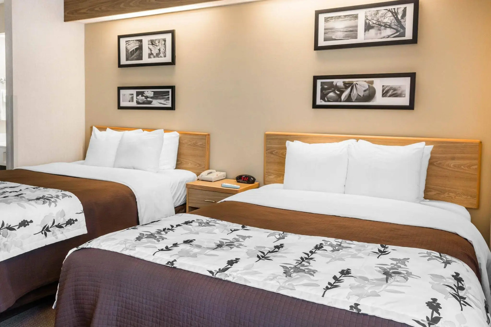 Spark by Hilton Lynchburg