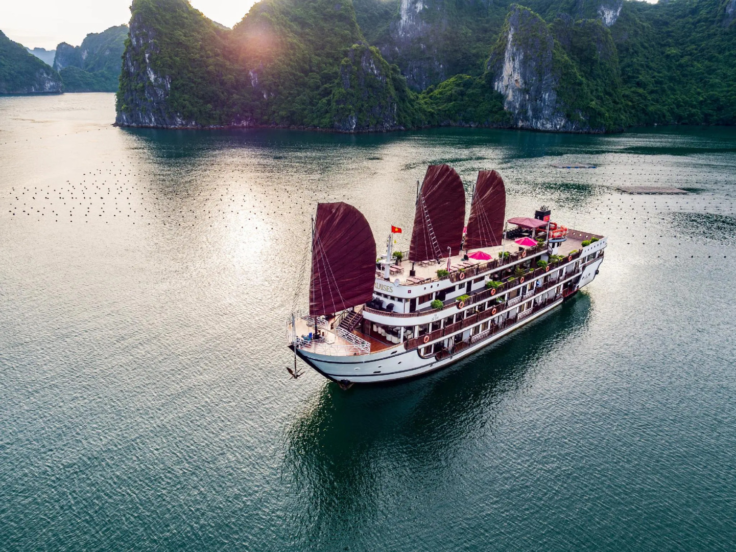 Alisa Premier Cruise