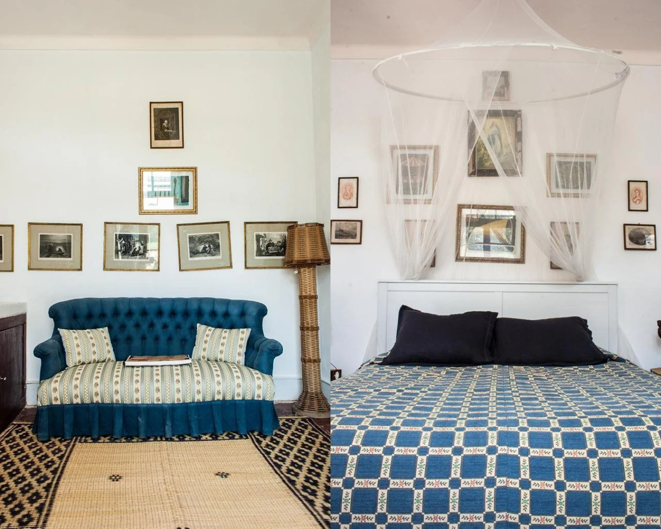 Uva do Monte - Blueberry Farm