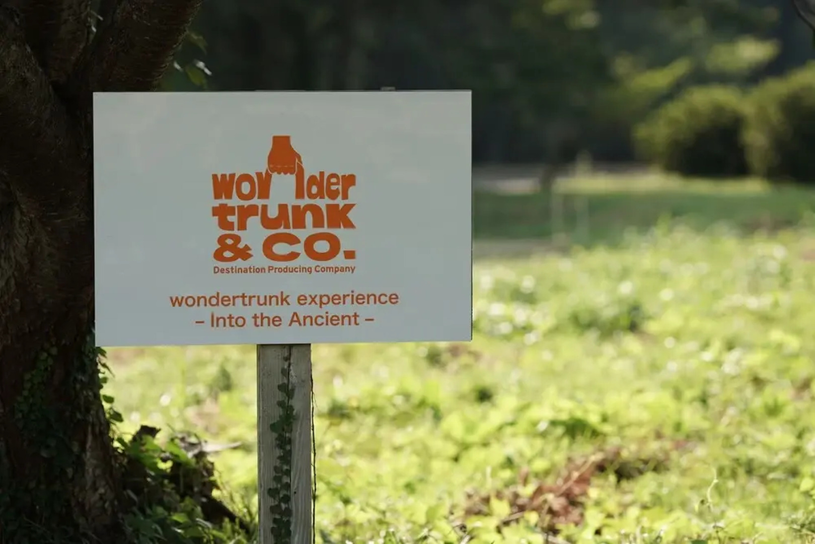 Wondertrunk Experience Sanbe - Glamping