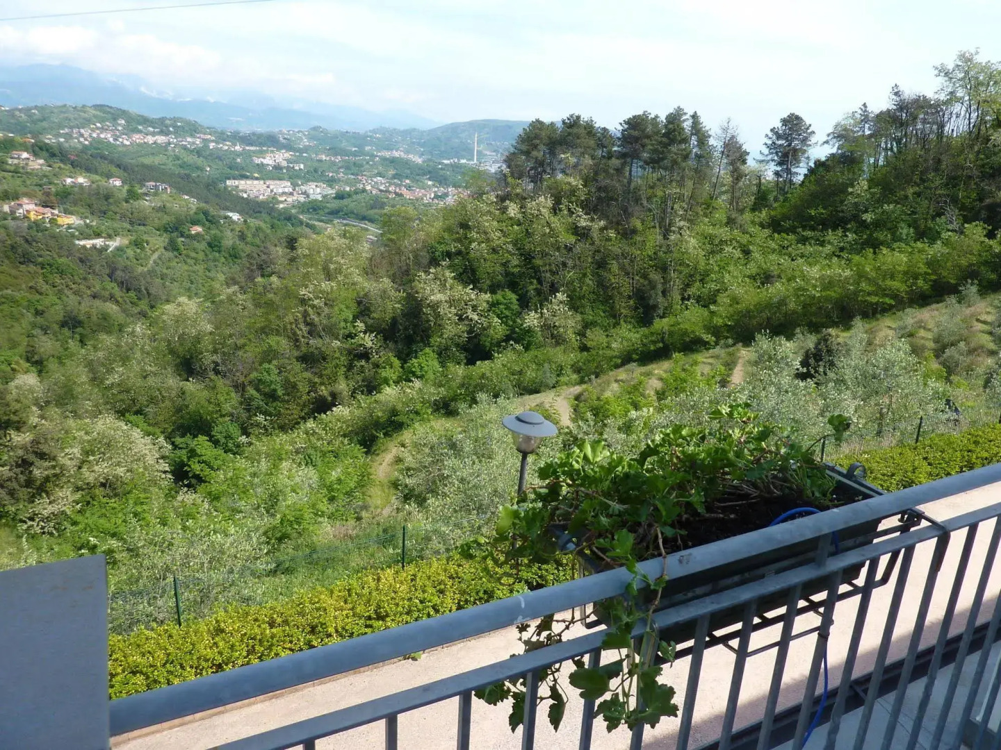 Gli Ulivi Di Montalbano