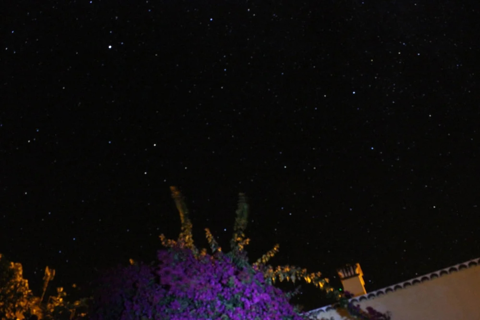 Los Nacientes Cordero by Isla Bonita