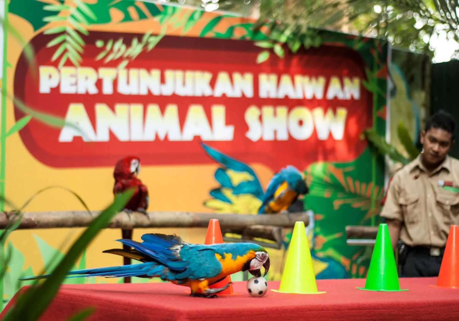 Bukit Merah Laketown Resort