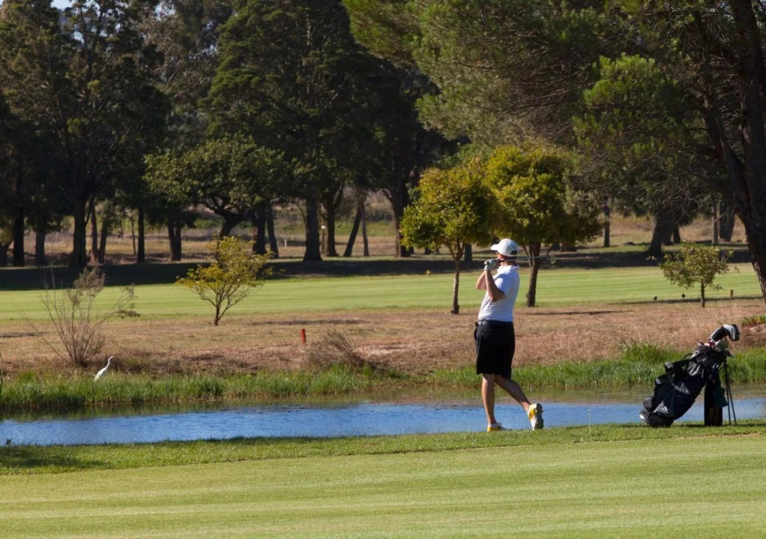 Devonvale Golf & Wine Estate