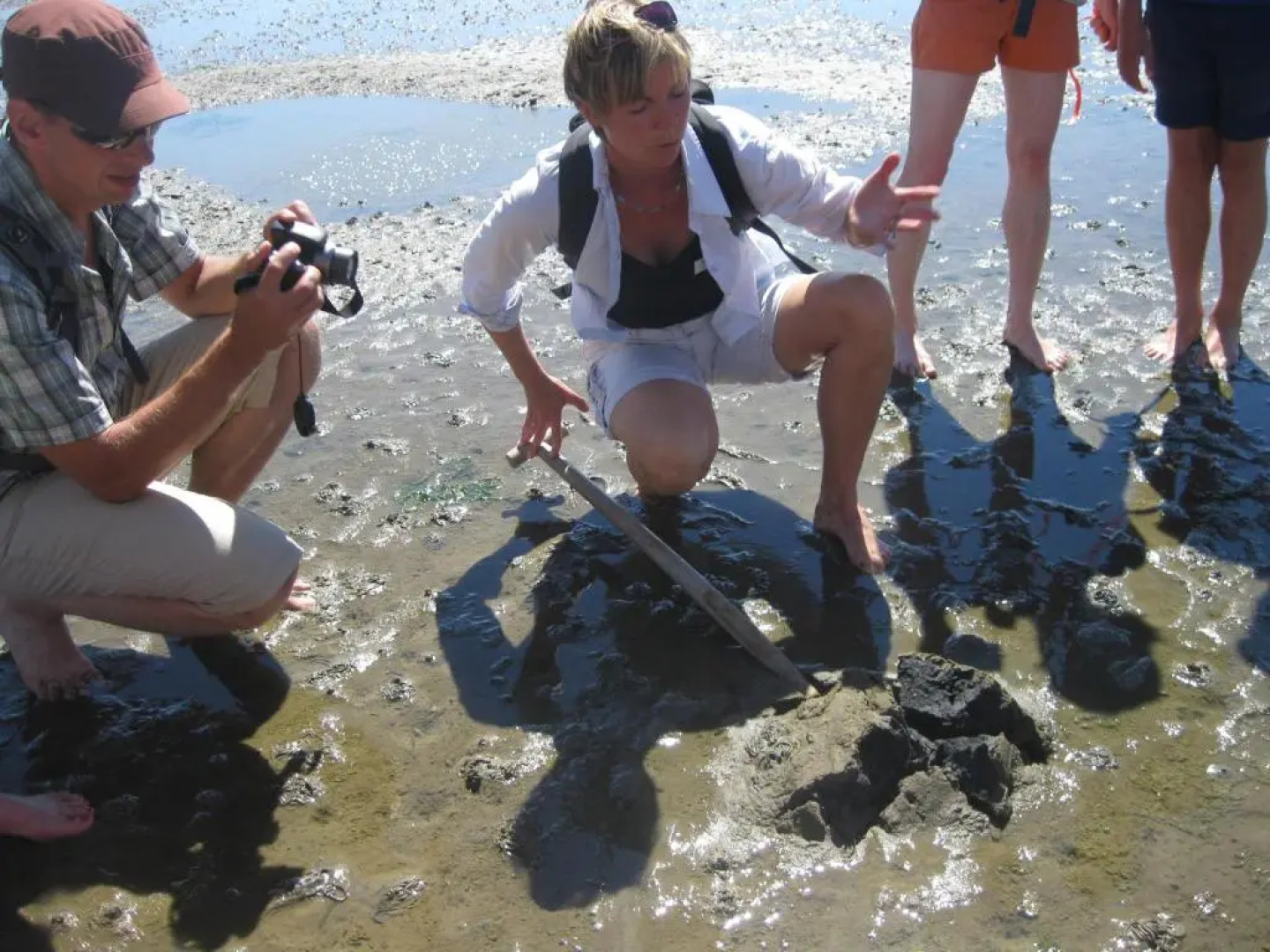 Bauernhof Familie Wulff