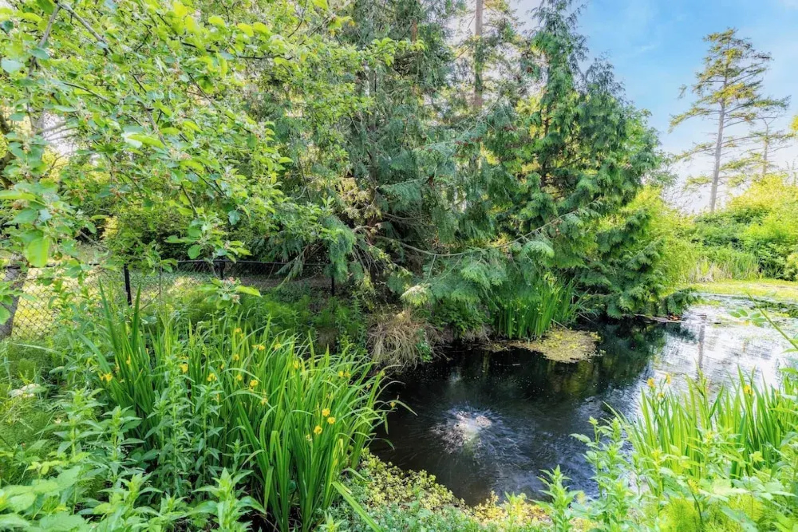 Penn Cove Overlook by Avantstay Cabin w/ Views