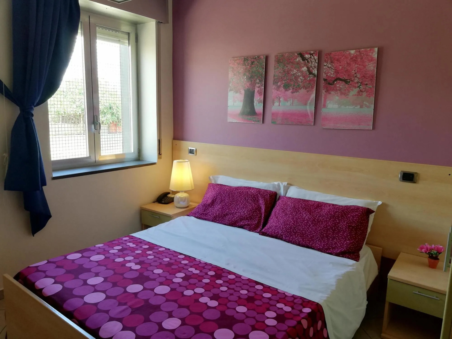 Central Room Fortuna