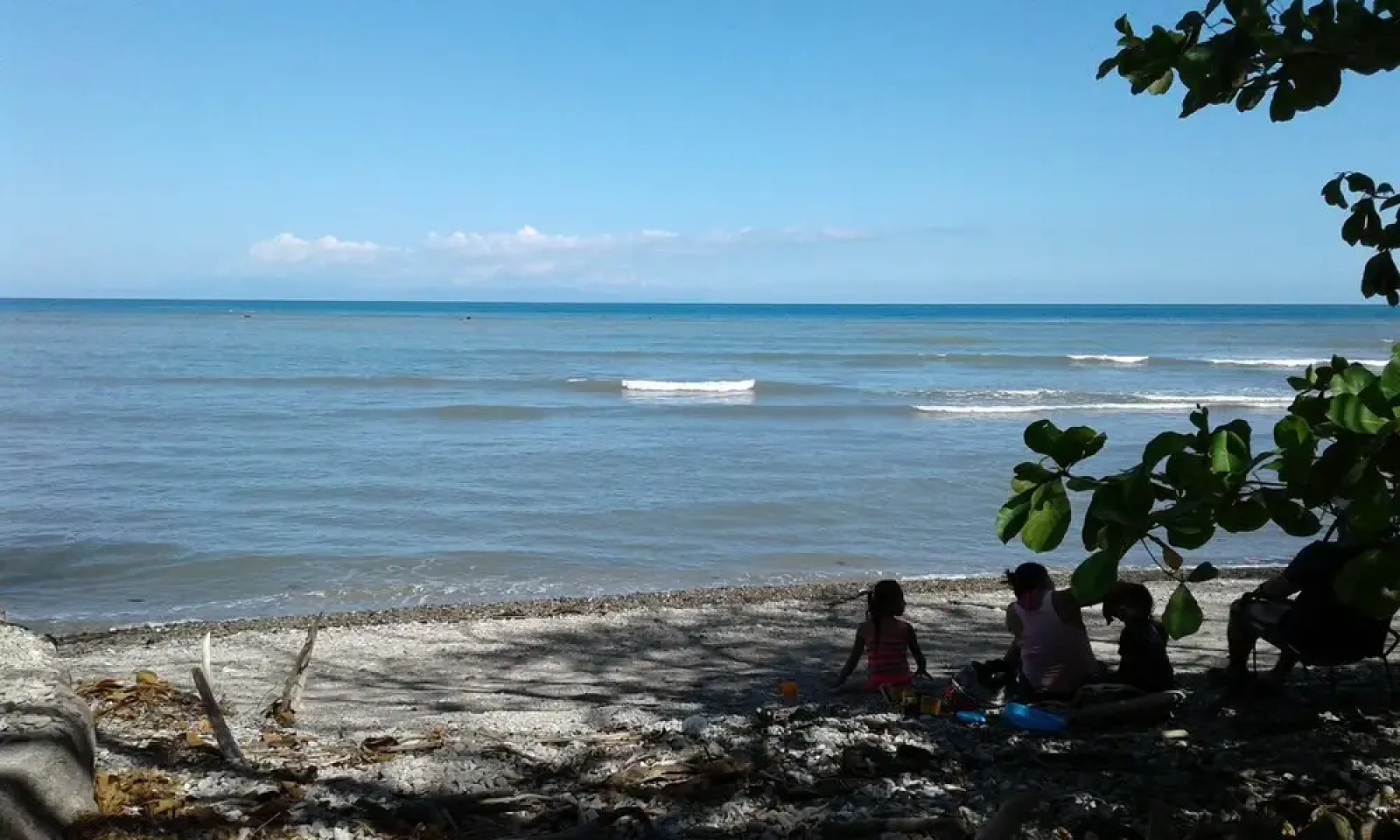 The Howler Monkey Hotel