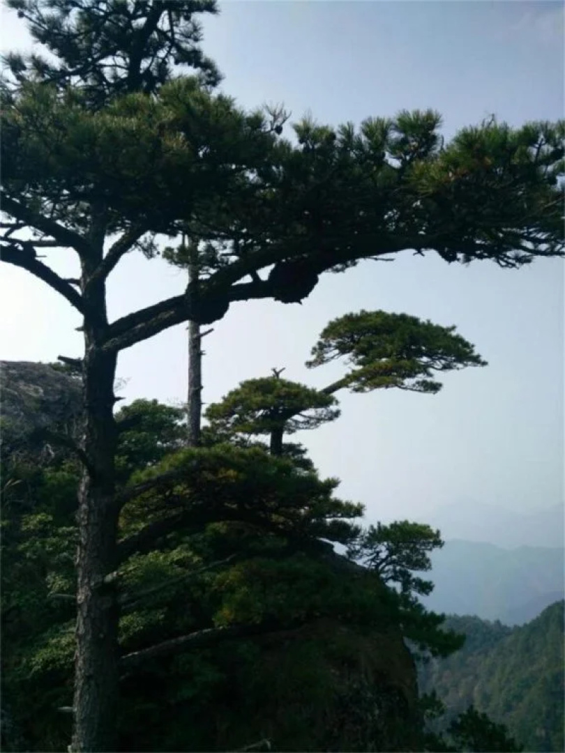 Xuancheng Jixi Enji Inn