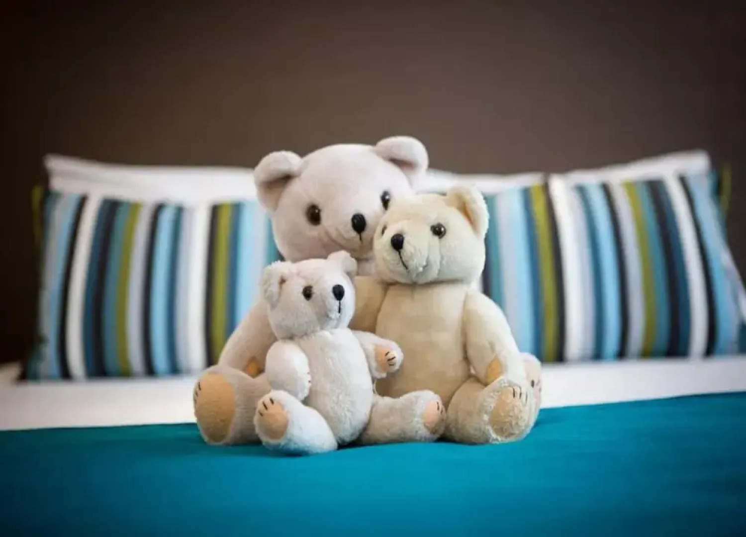 Gierle Garden Bungalow Escape