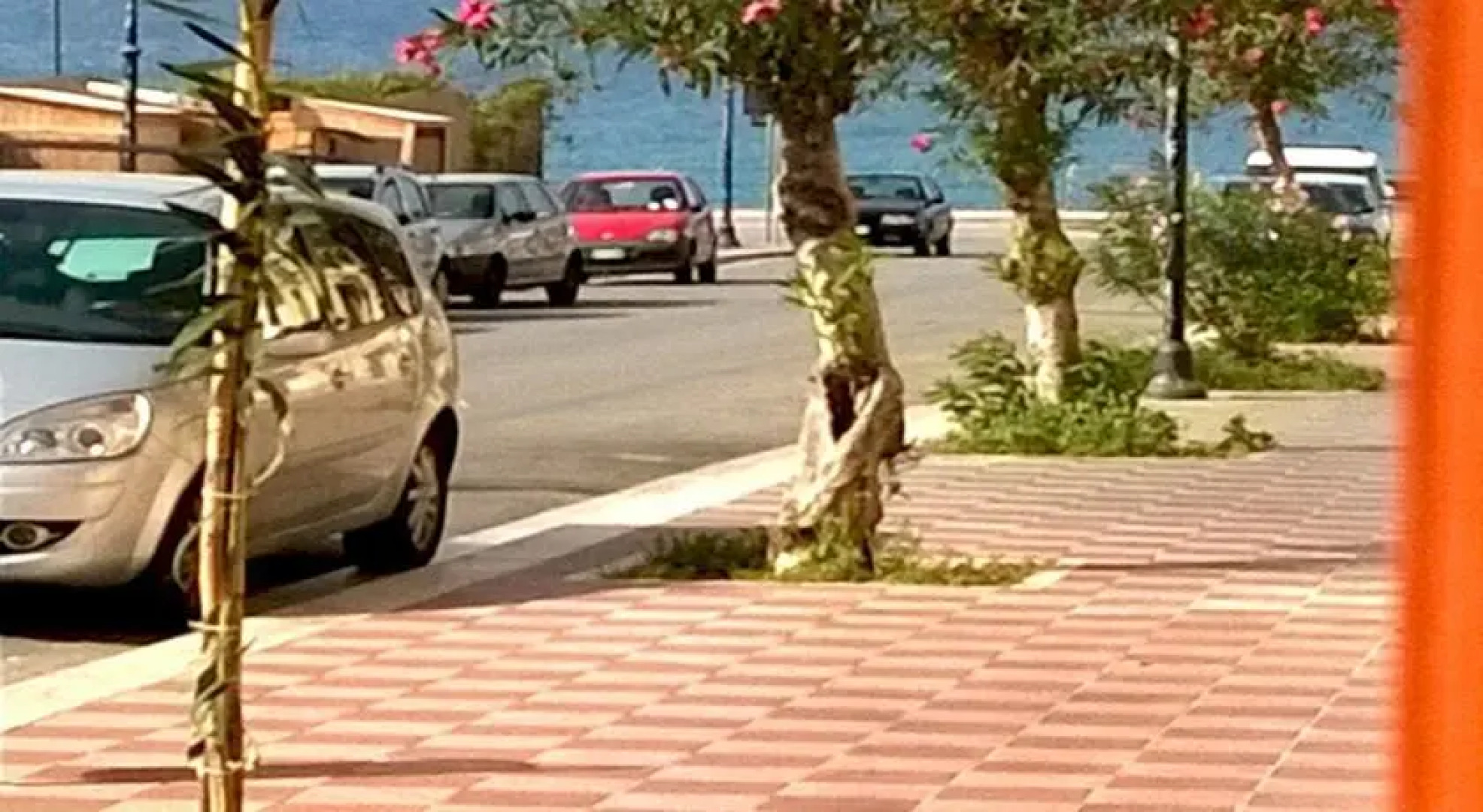 La Casa dellOleandro