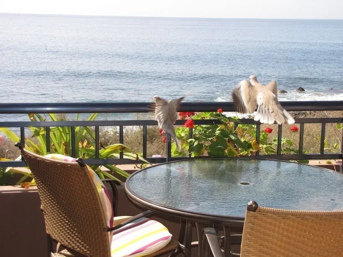 Apartamentos Chijeré Faro del Inglés