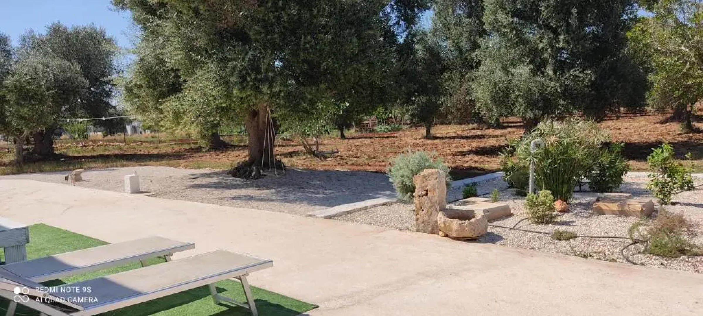 Trullo Il Noce..Holiday home