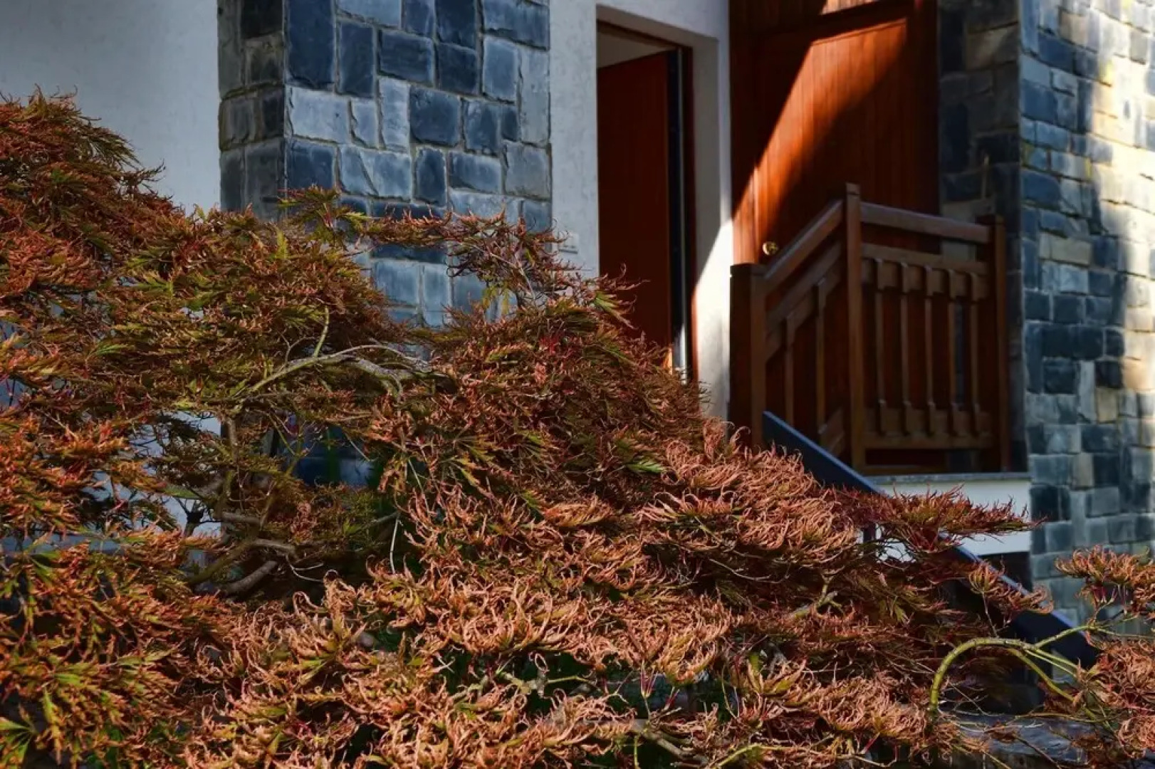 Easy Welcome Il Tiglio