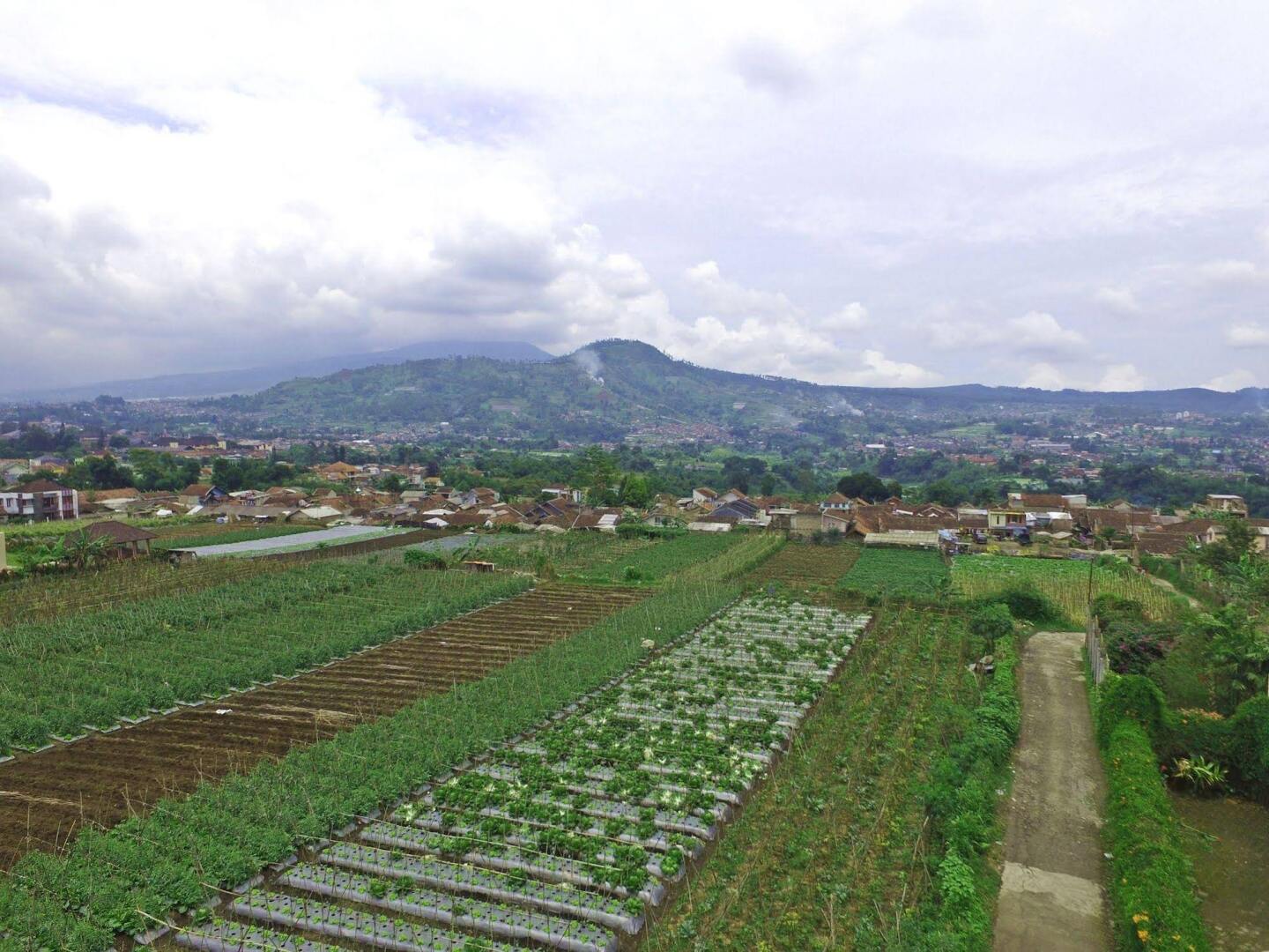 Vila Bunga Merah Gelatik