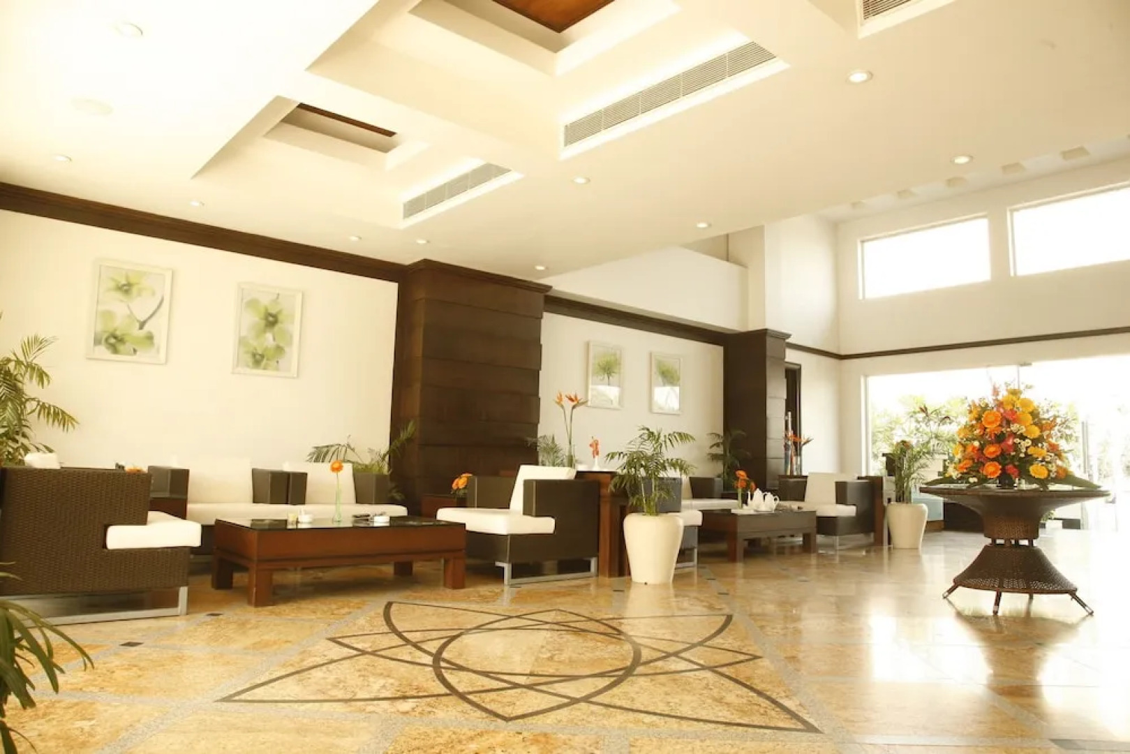 TreeHouse Hotel Club & Spa