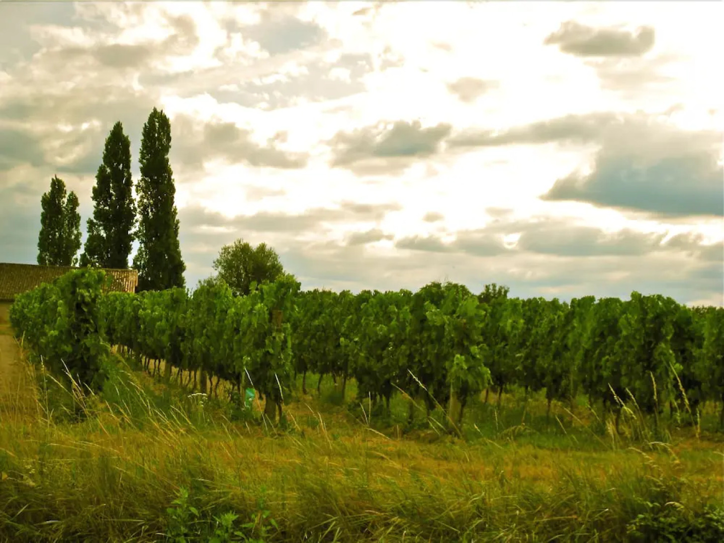 Chambres d'Hôtes Rouge Bordeaux