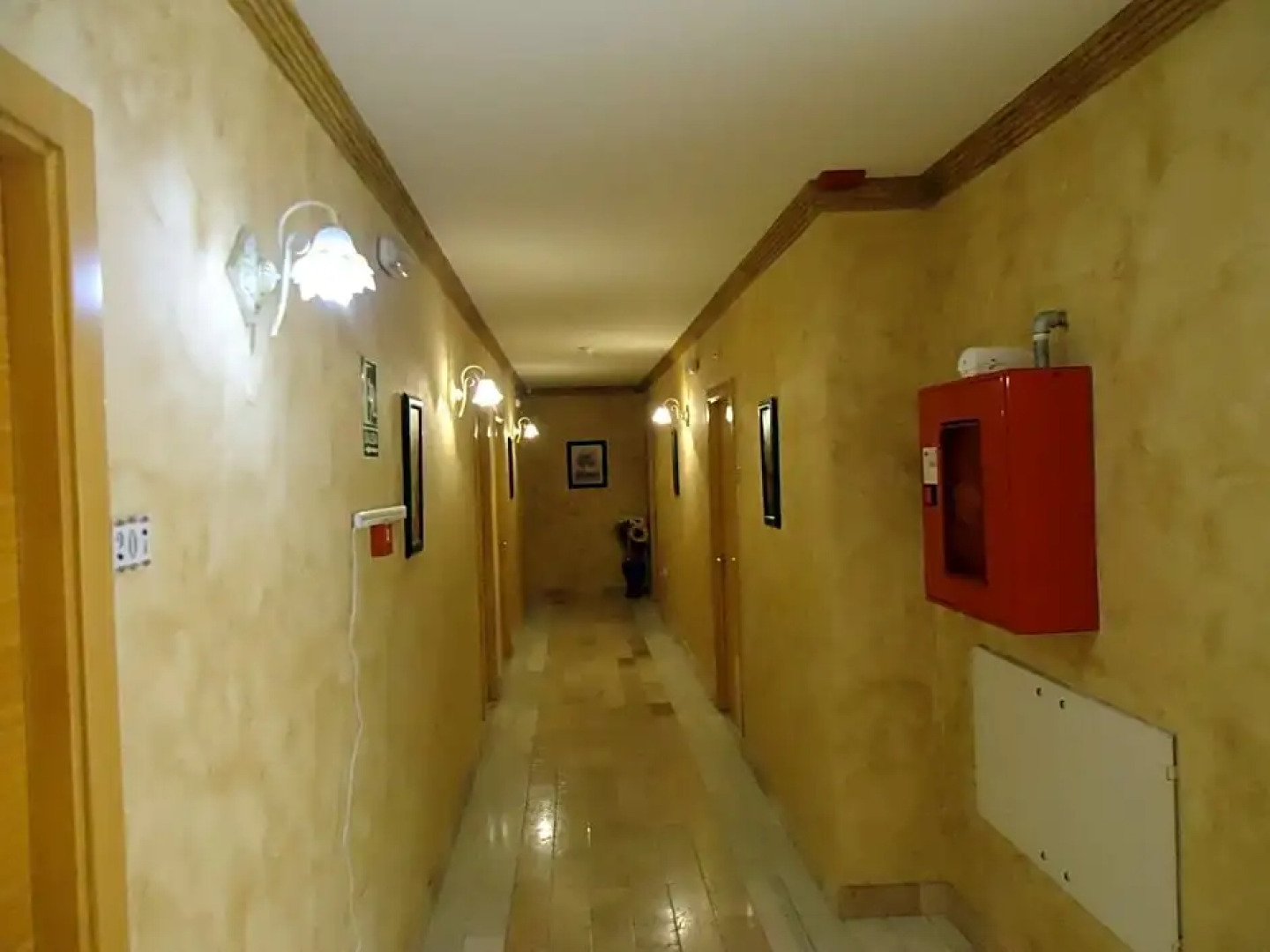 Hotel Fortes la Nuit S.L.