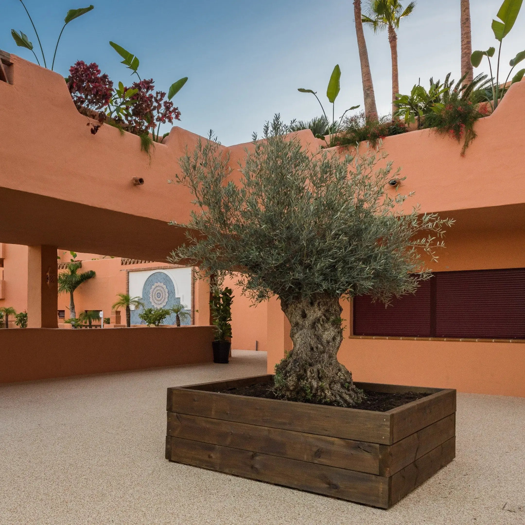 Royal Suites Marbella