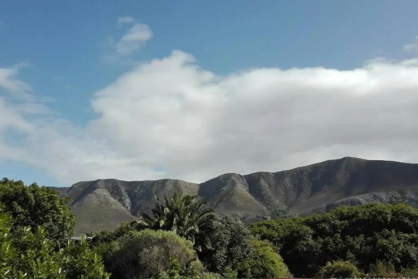 Green Street Apartment, Close to Beach