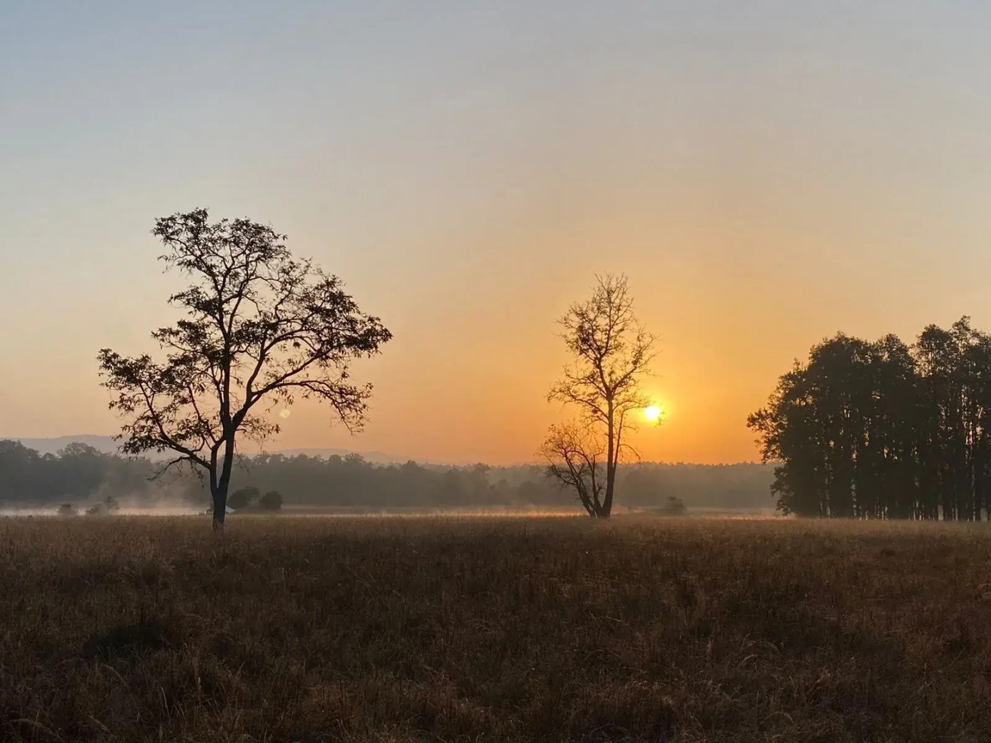 Saccharum Safari Lodge