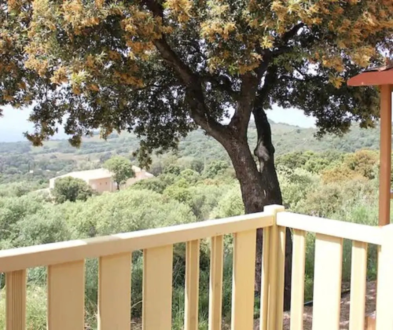 Les Hauts de Torraccia