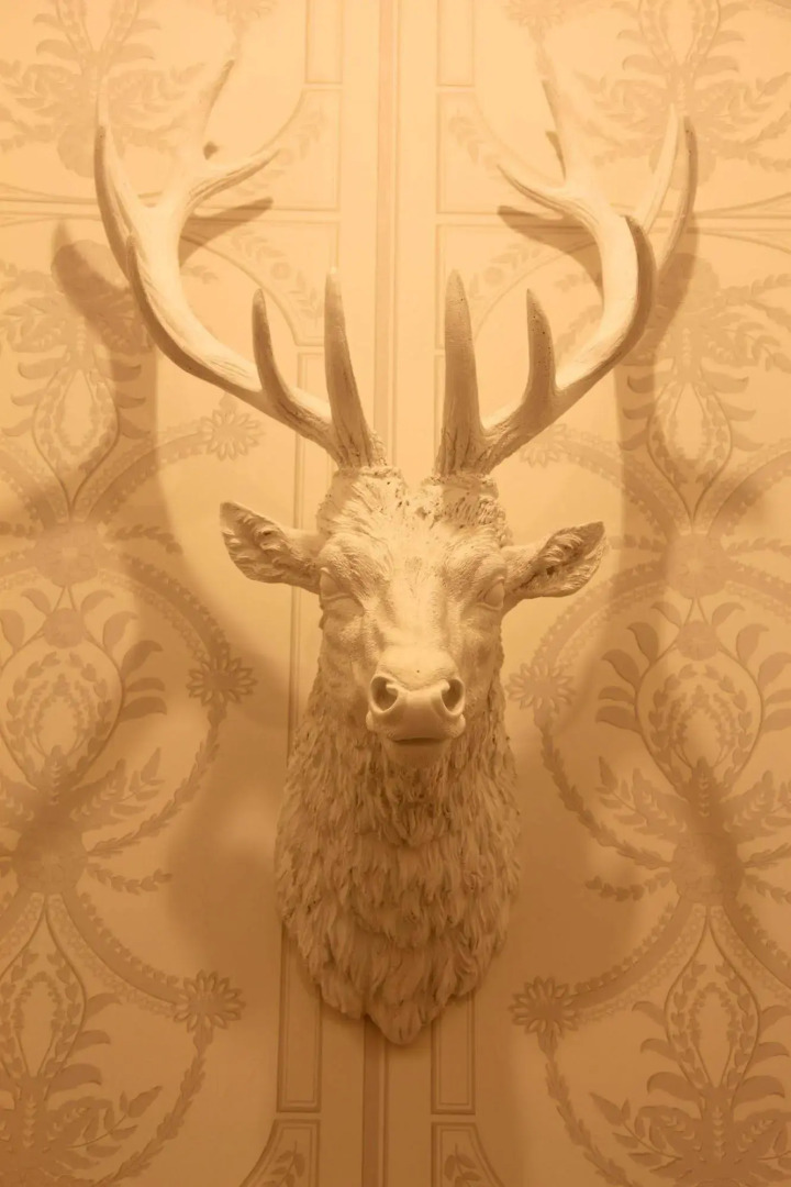 The Alexandra Court Hotel