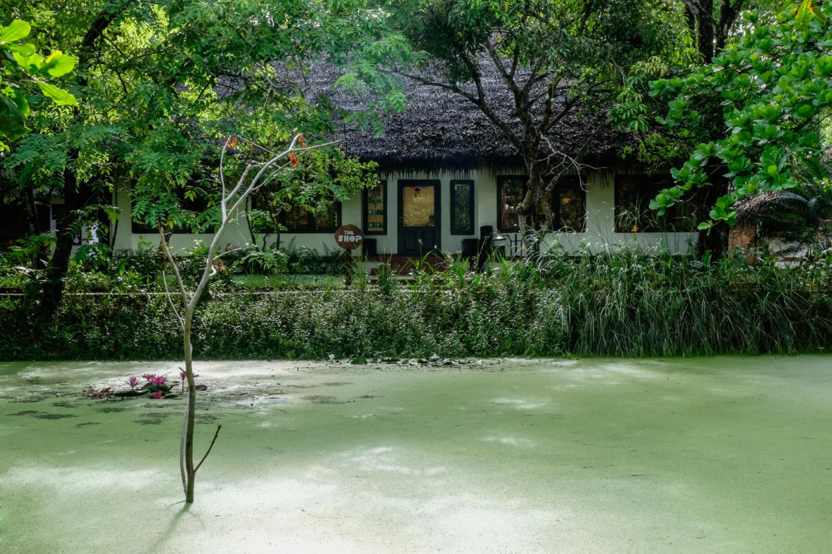 Marari Beach - Cgh Earth