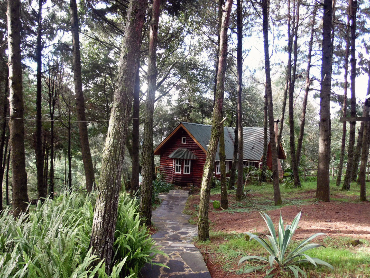 Cabañas El Rincón de Pancho
