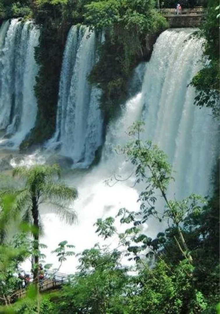 Posada del Chamán Iguazú
