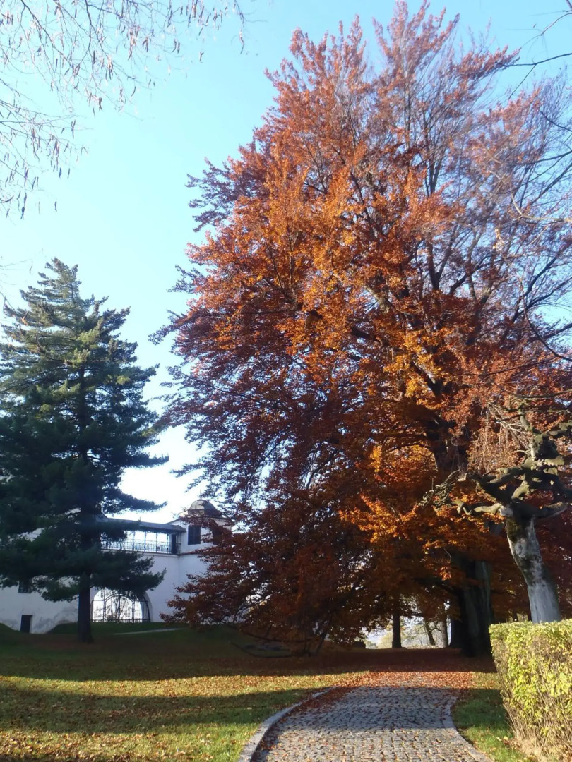 Hotel & Caffe Silesia