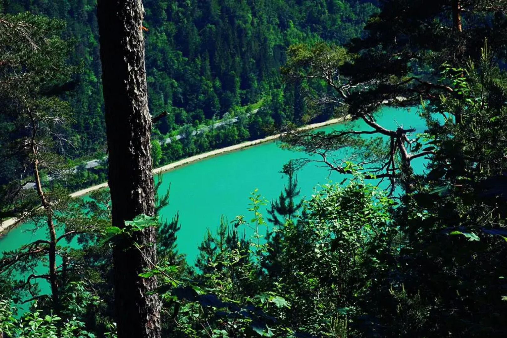 Predigtstuhlblick Apartment - Terrasse - Pool - Panorama
