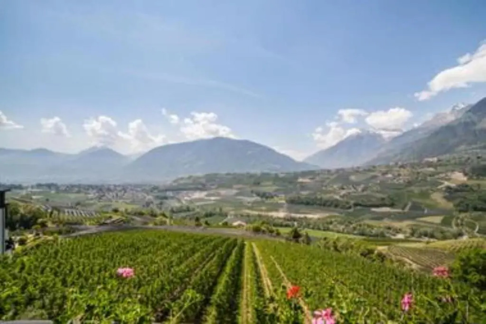 Garni Appartement Gartenheim