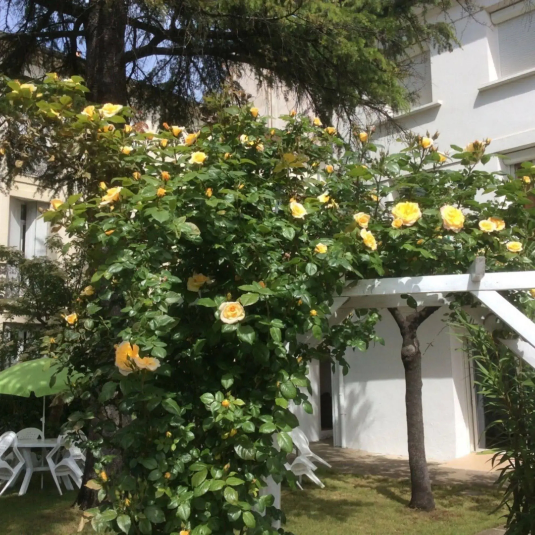 Villa Casa Blanca